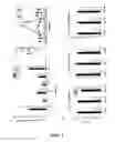 Fig. 02 - Materials and Methods for Reversing Type-1 Diabetes