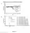 Fig. 12 - Compositions for the prevention and treatment of smallpox