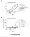 Fig. 28 - Compositions for the prevention and treatment of smallpox