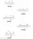 Fig. 02 - High-strength laminated sheet for optical applications