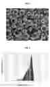 Fig. 03 - SPHERICAL CARBONS AND METHOD FOR PREPARING THE SAME