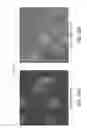 Fig. 21 - Methods and devices for cellular analysis