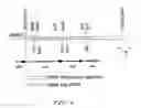 Fig. 02 - METHOD FOR PRODUCING L-GLUTAMIC ACID BY FERMENTATION ACCOMPANIED BY PRECIPITATION