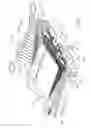 Fig. 08 - Three-dimensional plated support frame
