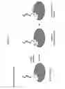 Fig. 06 - Anchor-Assisted Fragment Selection and Directed Assembly