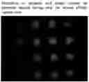 Fig. 01 - ANALYTE FOCUSING BIOCHIPS FOR AFFINITY MASS SPECTROMETRY
