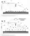 Fig. 06 - ANALYTE FOCUSING BIOCHIPS FOR AFFINITY MASS SPECTROMETRY