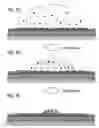 Fig. 08 - ANALYTE FOCUSING BIOCHIPS FOR AFFINITY MASS SPECTROMETRY