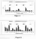 Fig. 02 - Angiogenic peptides and uses thereof