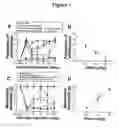 Fig. 02 - METHODS FOR TREATING VISCERAL PAIN
