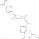 Fig. 294 - Tropane compounds