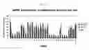 Fig. 04 - siRNA targeting myeloid cell leukemia sequence 1