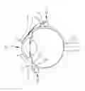 Fig. 01 - Surgery assisting instrument for retinal surgery