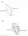 Fig. 08 - Detection of the position of a moving object and treatment method