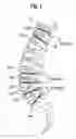 Fig. 02 - Rod assembly and modular rod system for spinal stabilization