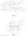 Fig. 06 - Prosthetic valve for transluminal delivery