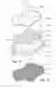 Fig. 07 - BIODEGRADABLE OSTOCHONDREAL IMPLANT