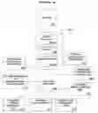Fig. 01 - Methods and systems for managing distributed digital medical data