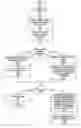 Fig. 01 - System and method for concurrently utilizing multiple system identifiers