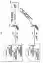 Fig. 02 - Recording/reproducing device, communication device, program, system LSI