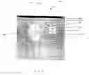 Fig. 04 - Spotlight cursor