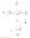 Fig. 02 - Dynamic radius