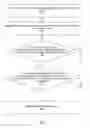Fig. 03 - Detection of window replacement by a malicious software program