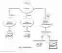 Fig. 02 - DIRECTED COMPLEMENTATION WITH REMOVABLE GENE OF INTEREST