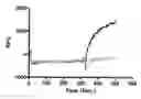 Fig. 01 - Canine transient receptor potential V2 (cTRPV2) and methods of screening for TRPV2 channel modulators