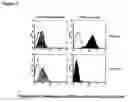 Fig. 06 - Mesothelin vaccines and model systems