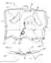 Fig. 02 - Blanket for placement upon an infant secured in a seat and method of use