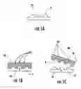 Fig. 02 - Photocurable perfluoropolyethers for use as novel materials in microfluidic devices