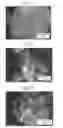 Fig. 07 - Method of producing oxide particles, slurry, polishing slurry, and method of polishing substrate