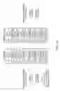Fig. 06 - Frequency spectrum conversion to natural harmonic frequencies process