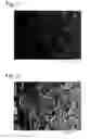 Fig. 07 - Method for producing porous body comprising apatite/collagen composite fibers