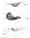 Fig. 04 - Method of forming a biomedical device including an ophthalmic device