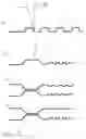 Fig. 09 - FLAT GASKET AND METHOD FOR THE PRODUCTION THEREOF