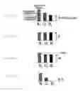 Fig. 09 - Liquid crystal display