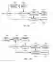 Fig. 71 - Methods and systems for display source light management with variable delay