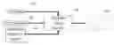 Fig. 01 - Methods and systems for image tonescale design