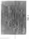 Fig. 02 - Method for forming optical compensating films, optical compensating films formed thereby, structure of optical compensating films, and polarizing plates