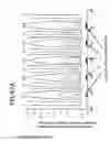 Fig. 41 - Liquid crystal display