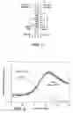 Fig. 02 - Analysis method effected with rapid analyte chemical separation and quick detection