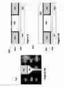 Fig. 06 - Perpendicular magnetic recording writer main pole having imbedded non-magnetic core and de-coupled pole tip