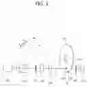 Fig. 02 - Method of reading optical information and method of recording optical information