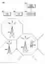 Fig. 01 - Adaptive broadcast multicast systems in wireless communication networks