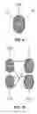 Fig. 09 - Optical network