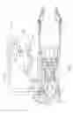 Fig. 02 - Plasma Enhanced Compression System