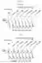 Fig. 02 - Stator cascade of turbo type fluid machine