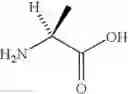 Fig. 22 - IRON-SALEN COMPLEX